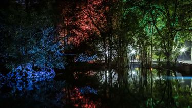 Imaginart El Bosque Mágico